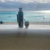 marcelo_y74