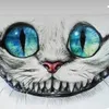 _andrea338