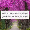 user7610763155561