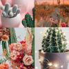 cactus_lover666