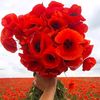 user6180886165959