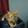 teyyoung53
