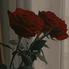 oum.batoul74849
