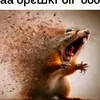 nikita_101936