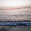 salwa88353