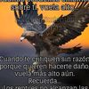 lourdesjuares481