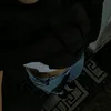 biaa_soarrs