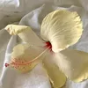 nialesmanucccia