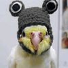 taklit_84