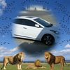 handyelsayed8