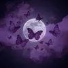 usercuent1