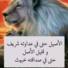 user34818324114987