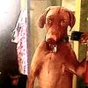 anthonyjavierzuri8