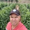 productordelcampow