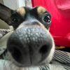 nocallerid_fr