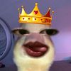 zaalfyna06