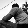 viola.js4