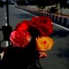nayeem_157