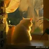 meocodon12409
