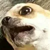 iamkeizu