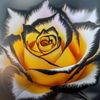 user8701705050691
