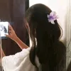 si_llip