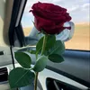sofia_ch_110