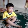 al_stfa23