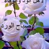 user1ebpxvv1yv