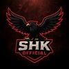 speed_hawks0
