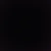 user251519560