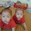 nguyenhoa6678