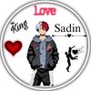 sadin071