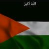 kamranodhe8