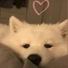 _hdquan_409