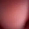 alex31211213
