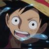 biggest_luffy_lover