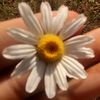 bezekler1