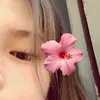 dannacapristan