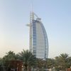 zdwq8