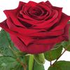 user2299812100250