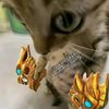 your daily videos