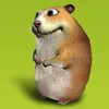 chujelo