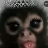 defonot_freaky