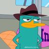 black_asesino