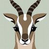 noha.samir983