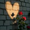 shaimaahmed635