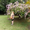 nunesvieira2929