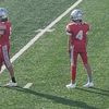 flock_cardinals24