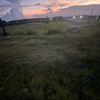 sheep_q1
